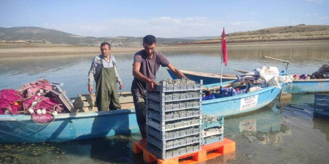 Denizi olmayan bozkırdan Avrupa sofralarına: Çekerek’te ihraç edilen balıklar rekor kırıyor! 6